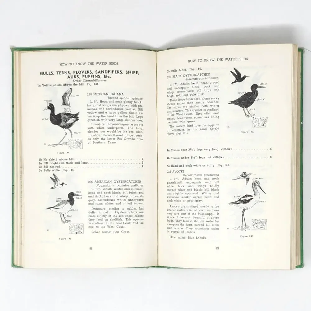 Title: How to Know Water Birds 1960 Vintage HC Pictured-Key Nature Series